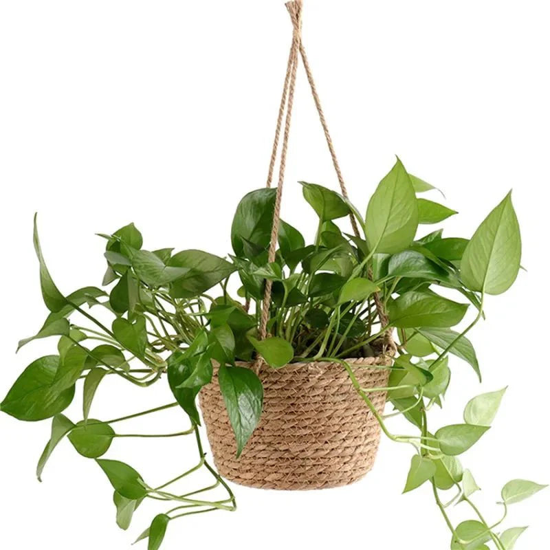 Macrame Plant Hanger Jute Cotton Rope Space-Saving