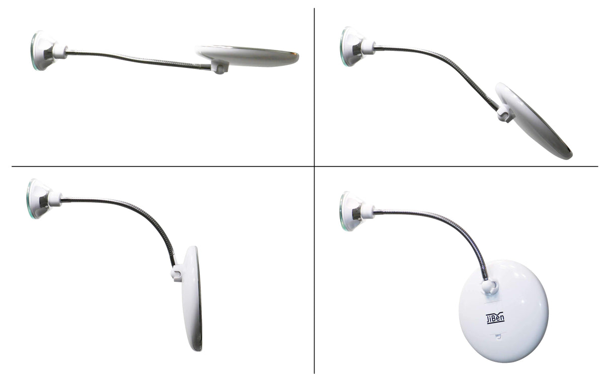 Makeup Mirror 10x Magnification Daylight LED Flexible Gooseneck