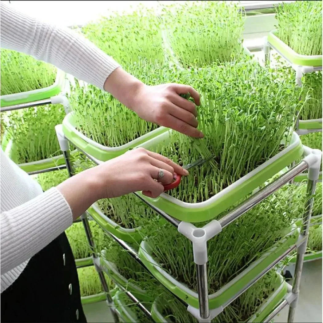 Microgreens Sprouting Tray 2-Layer Drainage BPA-Free