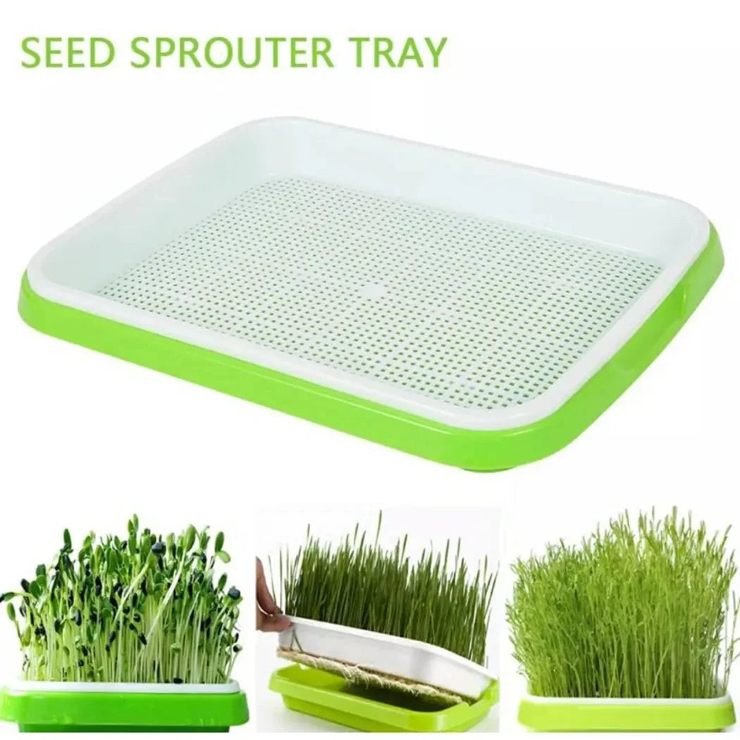 Microgreens Sprouting Tray 2-Layer Drainage BPA-Free