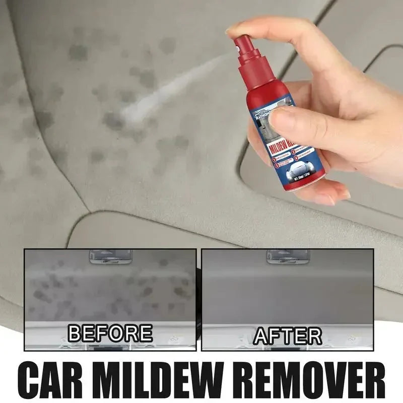 Mold Remover Spray Fast-Acting Antibacterial Set of 2