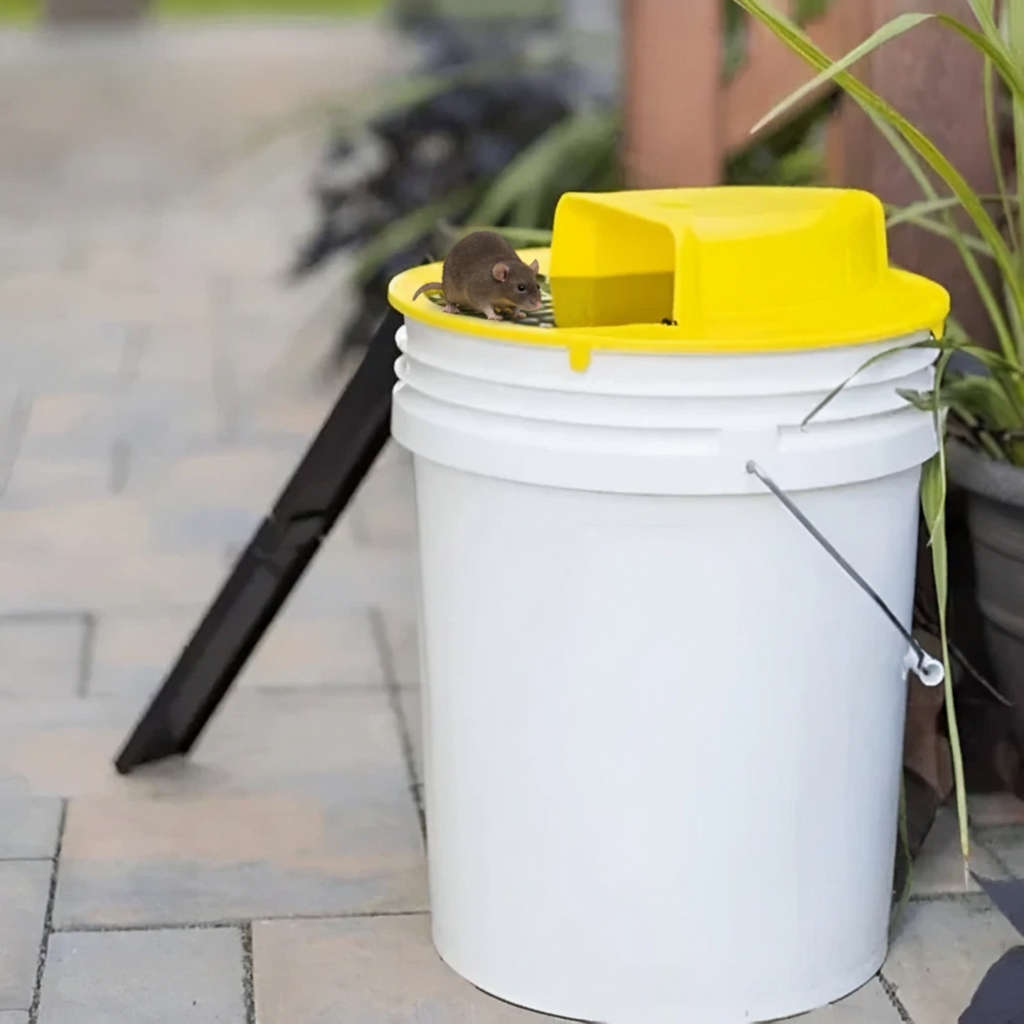 Mouse Trap Multi-Catch Automatic Tipping