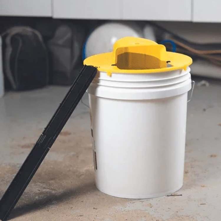 Mouse Trap Multi-Catch Automatic Tipping