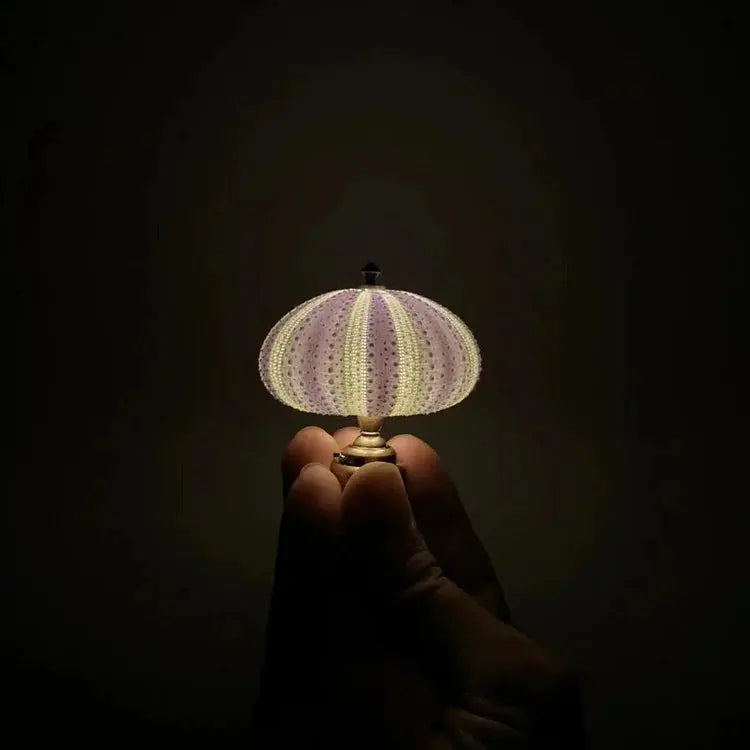 Night Lamp Sea Urchin Shell Glare-Free Warm Glow