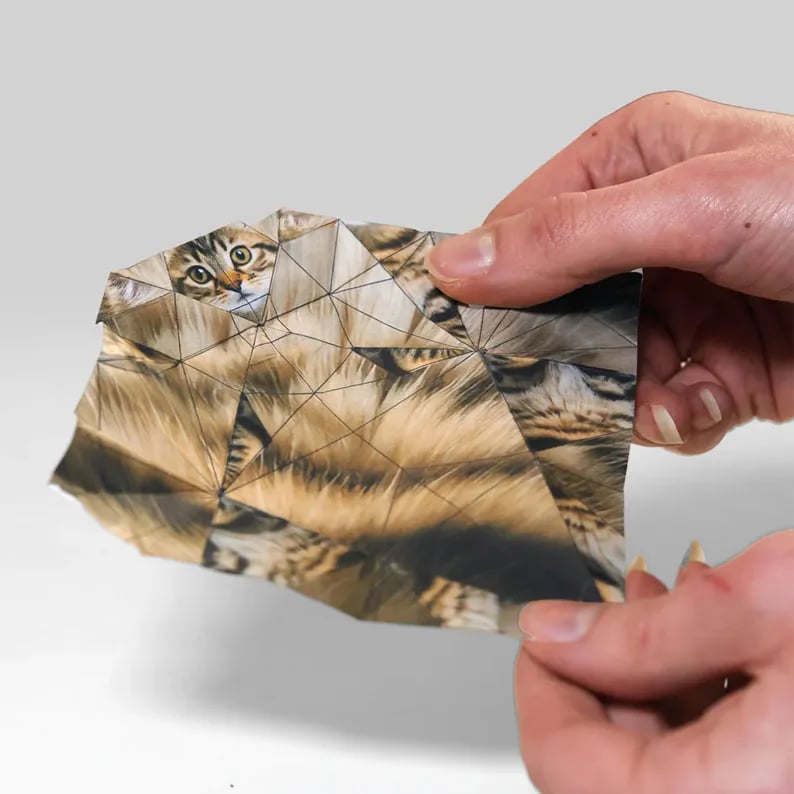 Origami Kit 50 Pre-Printed Animals FSC-Certified Paper Beginner-Friendly