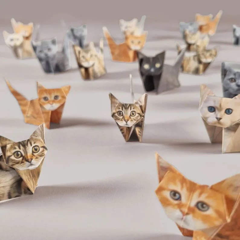 Origami Kit 50 Pre-Printed Animals FSC-Certified Paper Beginner-Friendly