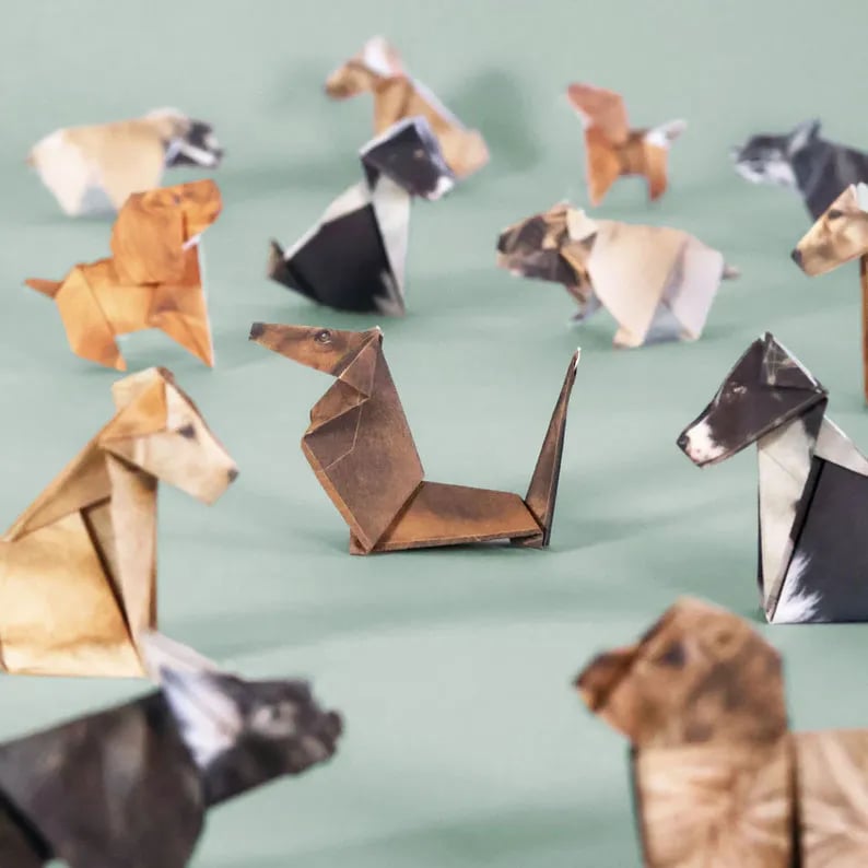 Origami Kit 50 Pre-Printed Animals FSC-Certified Paper Beginner-Friendly