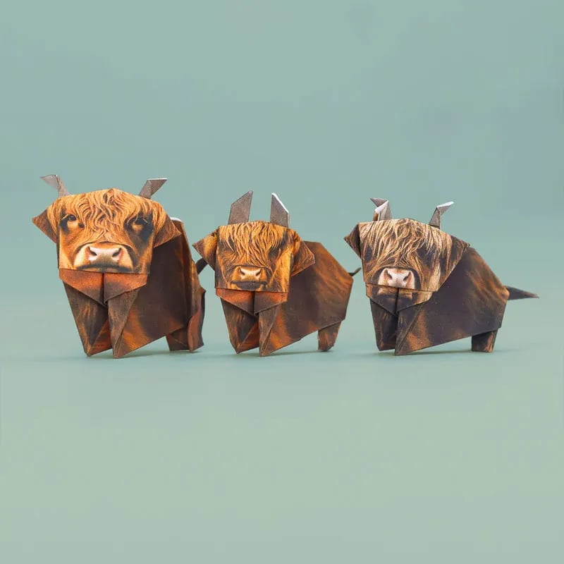Origami Kit 50 Pre-Printed Animals FSC-Certified Paper Beginner-Friendly