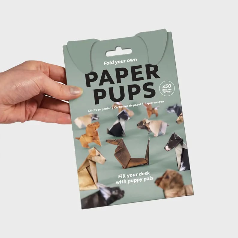 Origami Kit 50 Pre-Printed Animals FSC-Certified Paper Beginner-Friendly
