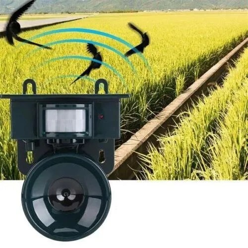 Outdoor Bird Repellent Motion-Activated Solar Ultrasonic & Acoustic