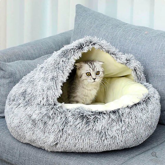 Pet Bed Orthopedic Foam Ultra-Soft Plush Cover