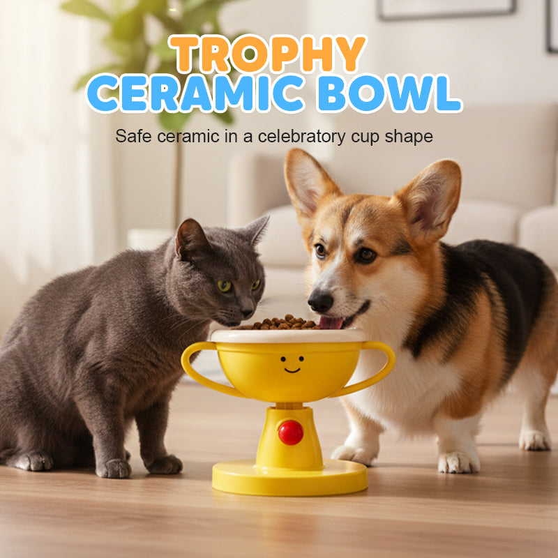 Pet Bowl Adjustable Height & Tilt Glazed Ceramic