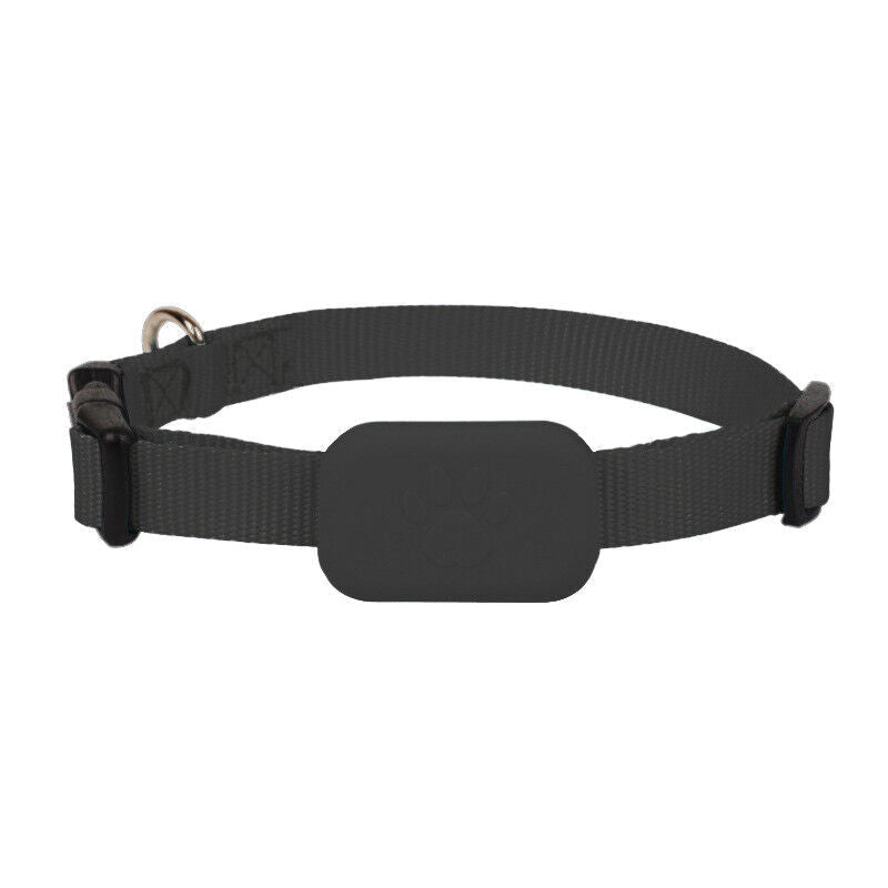 Pet GPS Collar Real-Time Tracking Motion Alerts