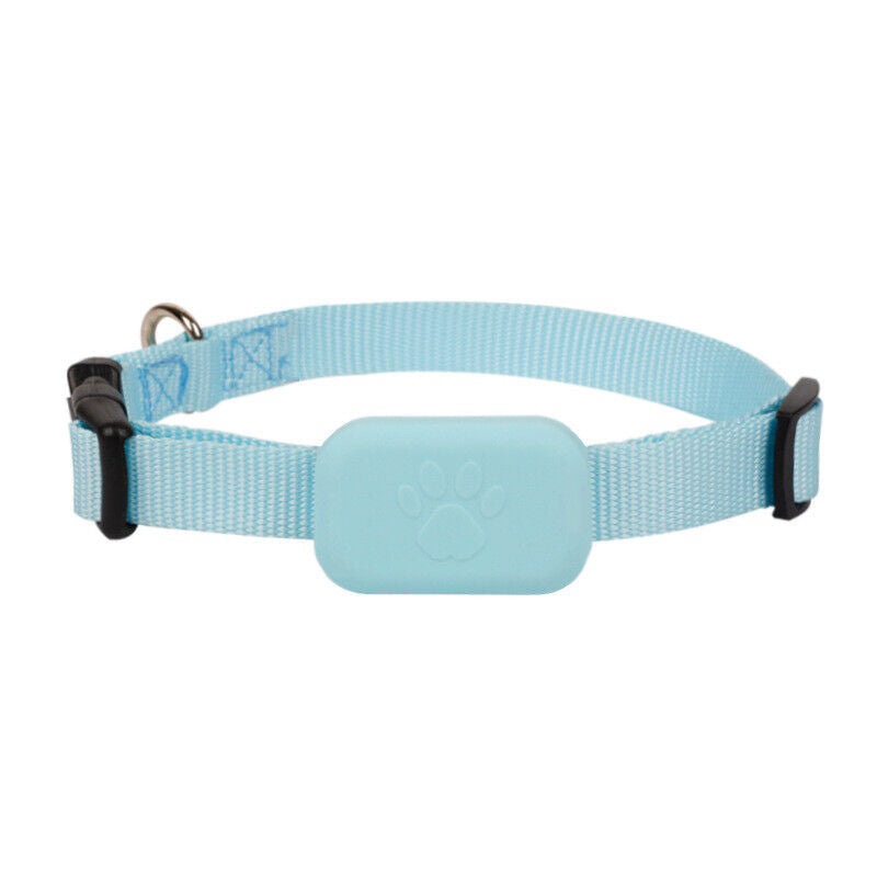 Pet GPS Collar Real-Time Tracking Motion Alerts
