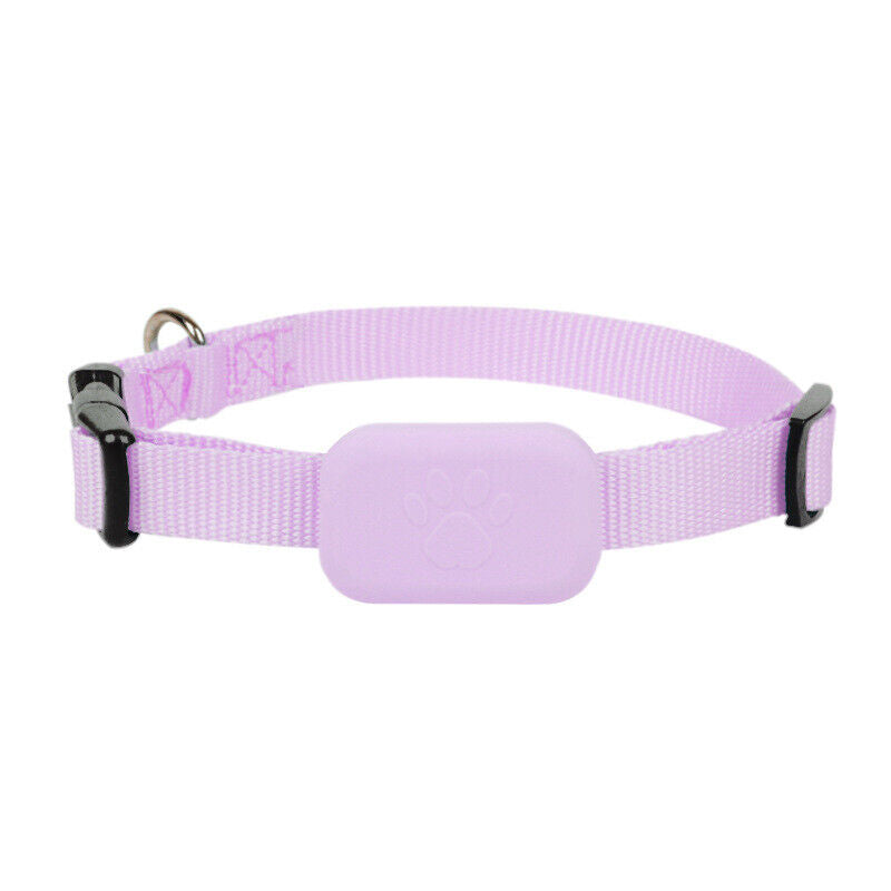 Pet GPS Collar Real-Time Tracking Motion Alerts