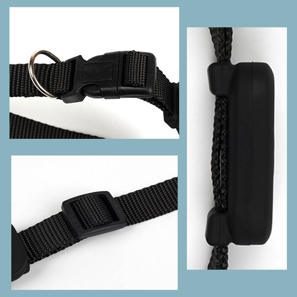 Pet GPS Collar Real-Time Tracking Motion Alerts