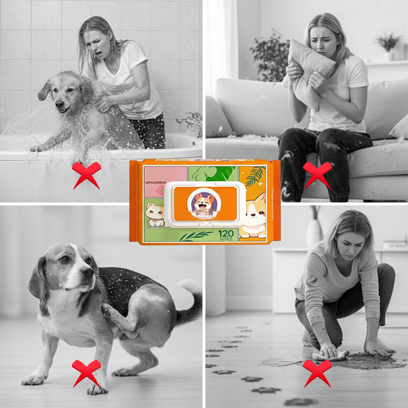 Pet Grooming Gloves Antibacterial & Water-Free Five-Finger 50-Pack