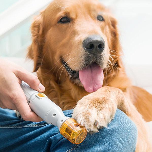 Pet Nail Grinder Battery-Powered Sanding Wheel & Protective Cap