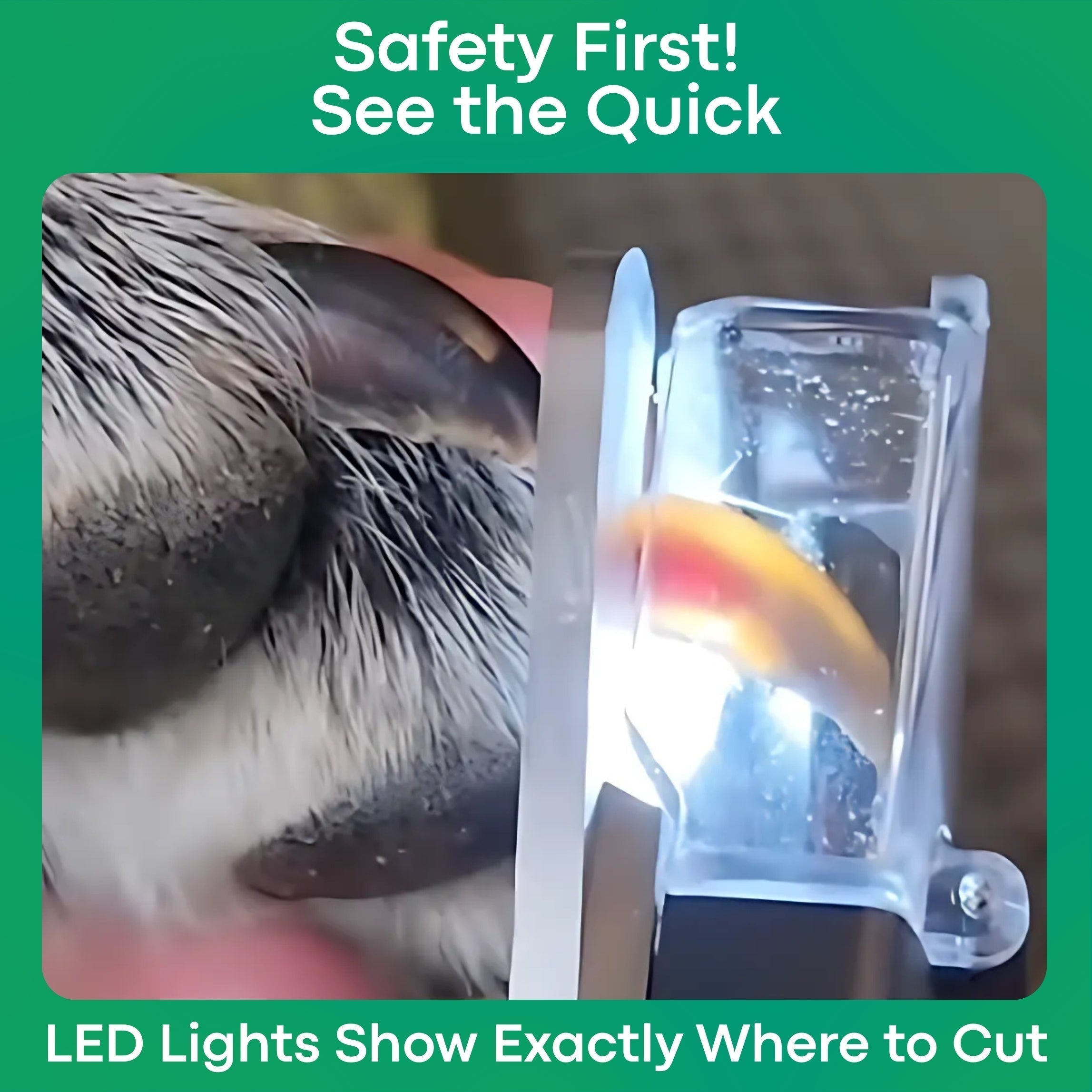 Pet Nail Trimmer Dual LED Whisper-Quiet Grinder