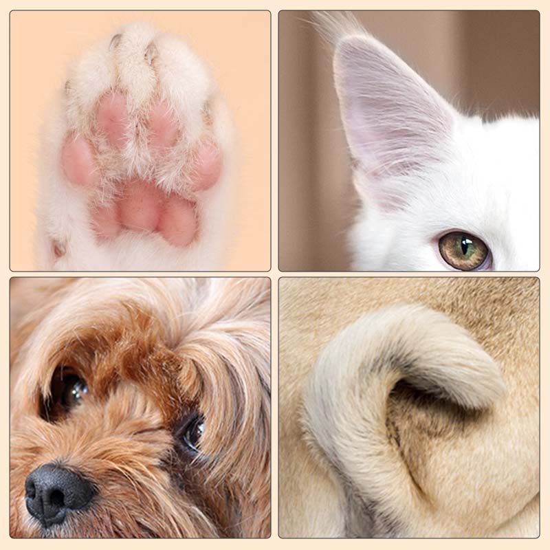 Pet Paw Cleaner LED Light USB Rechargeable Gentle & Hygienic