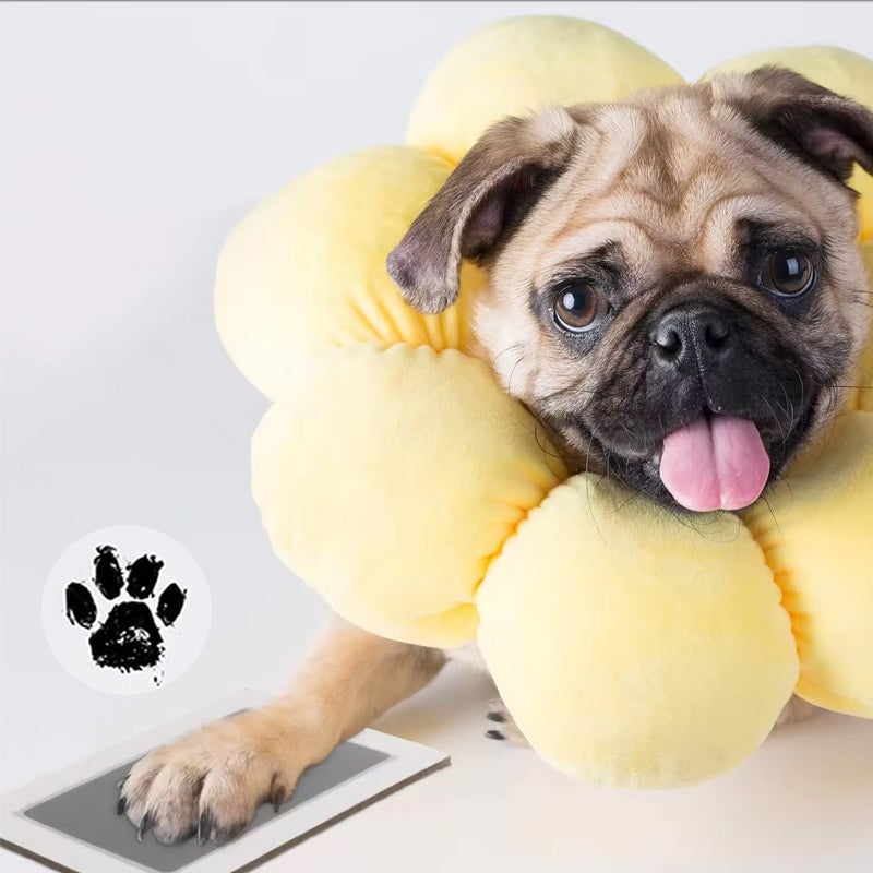 Pet Paw Print Kit Mess-Free Clean-Touch Pad Wood Frame