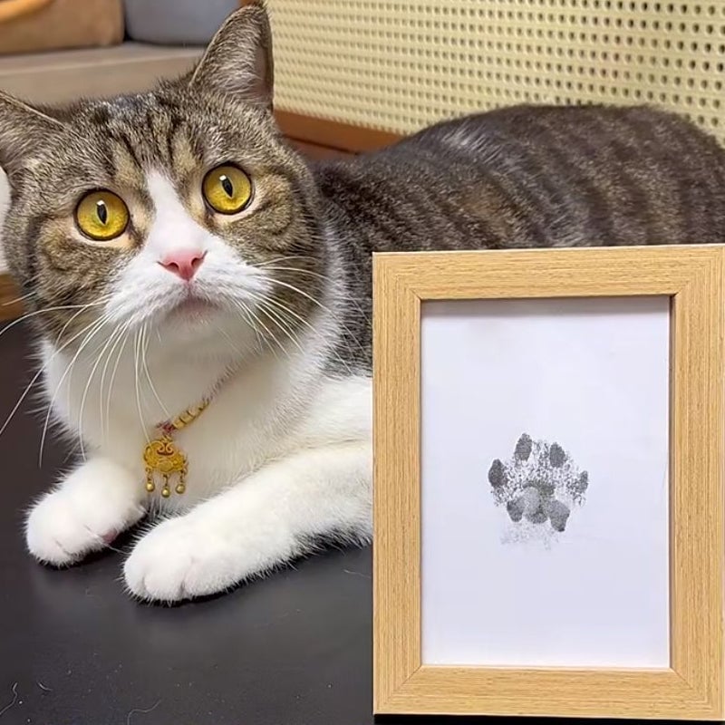 Pet Paw Print Kit Mess-Free Clean-Touch Pad Wood Frame