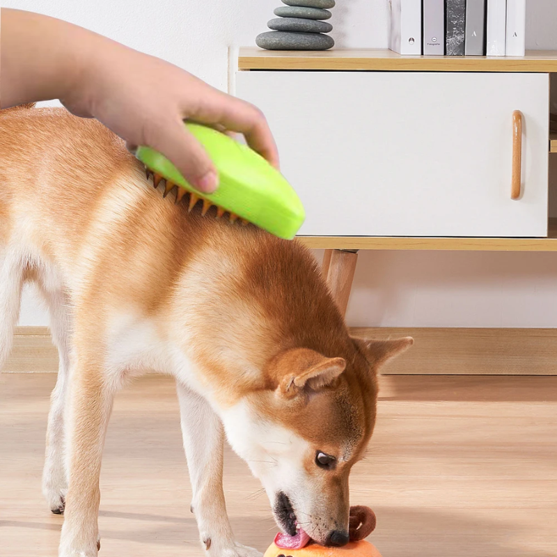 Pet Steam Brush Gentle Steam & Ergonomic Handle