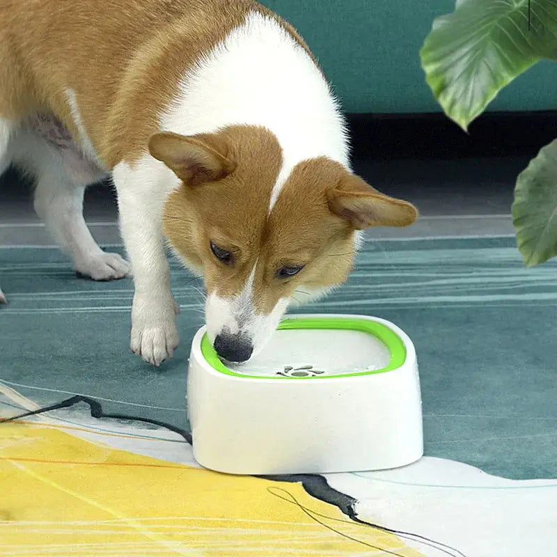 Pet Water Bowl Splash-Proof Removable Floating Plate 1.5 L