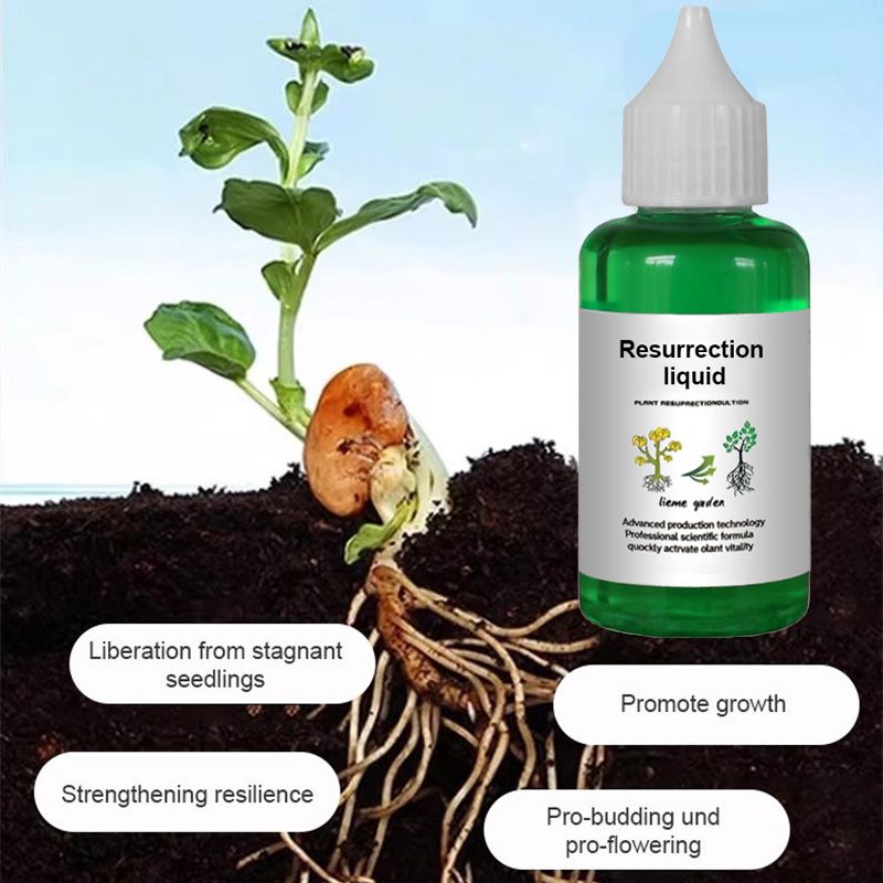 Plant Activator Liquid Root Booster & Bloom Stimulator