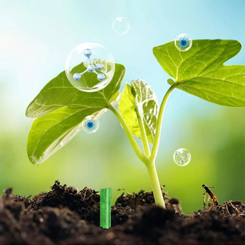 Plant Fertilizer Sticks Slow-Release Balanced NPK