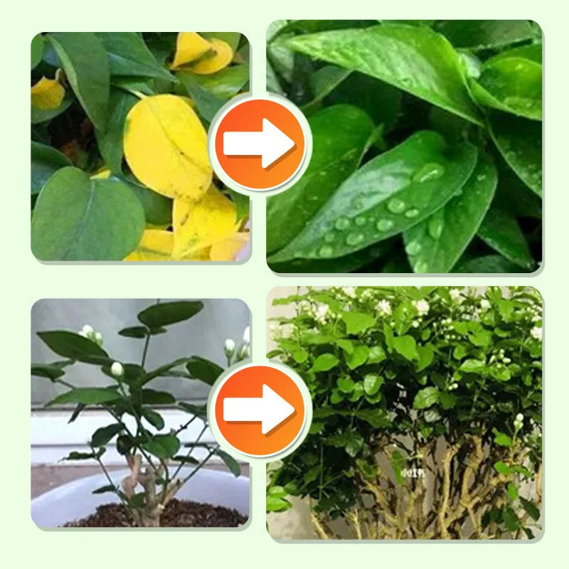 Plant Fertilizer Sticks Slow-Release Balanced NPK