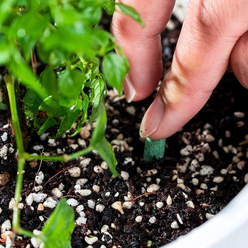 Plant Fertilizer Sticks Slow-Release Balanced NPK