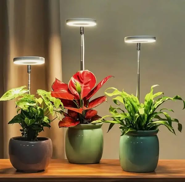 Plant Lamp Full-Spectrum LED Adjustable Brightness & Timer USB-Powered