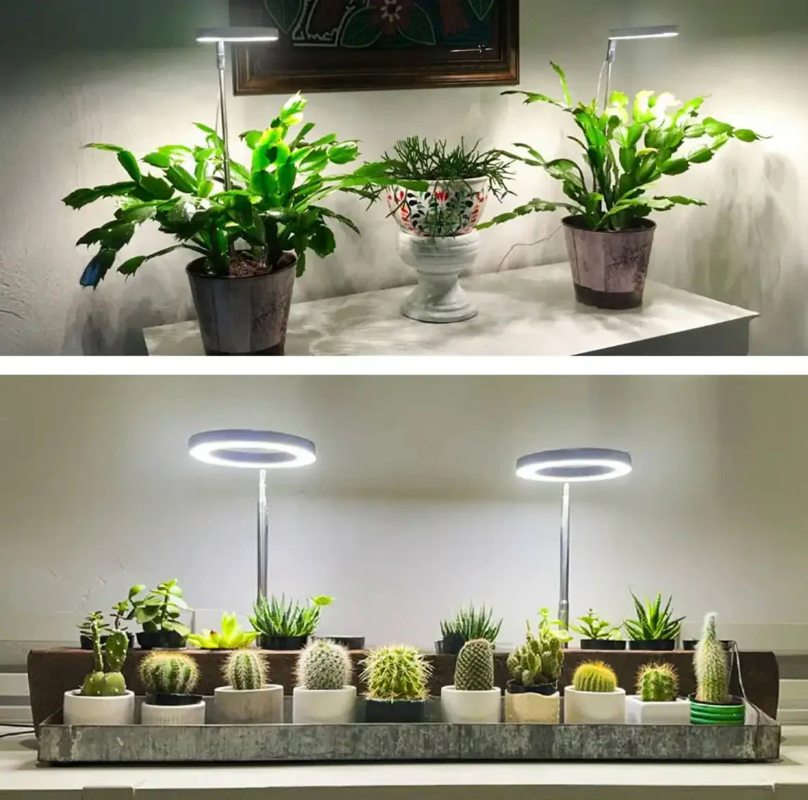 Plant Lamp Full-Spectrum LED Adjustable Brightness & Timer USB-Powered