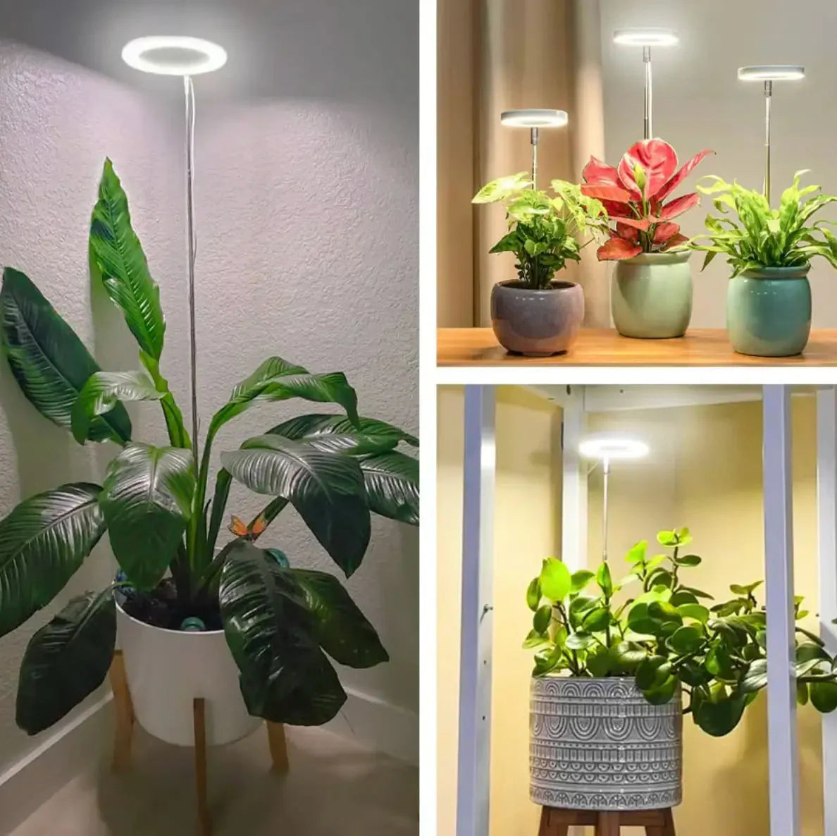 Plant Lamp Full-Spectrum LED Adjustable Brightness & Timer USB-Powered