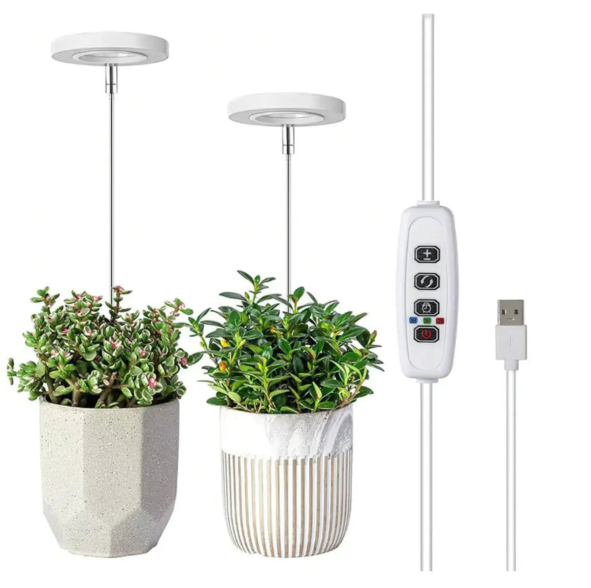 Plant Lamp Full-Spectrum LED Adjustable Brightness & Timer USB-Powered