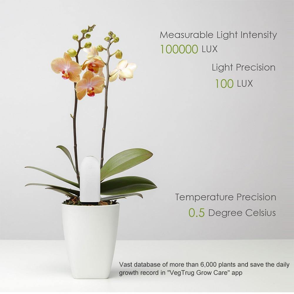 Plant Sensor 4-In-1 Bluetooth App & LED