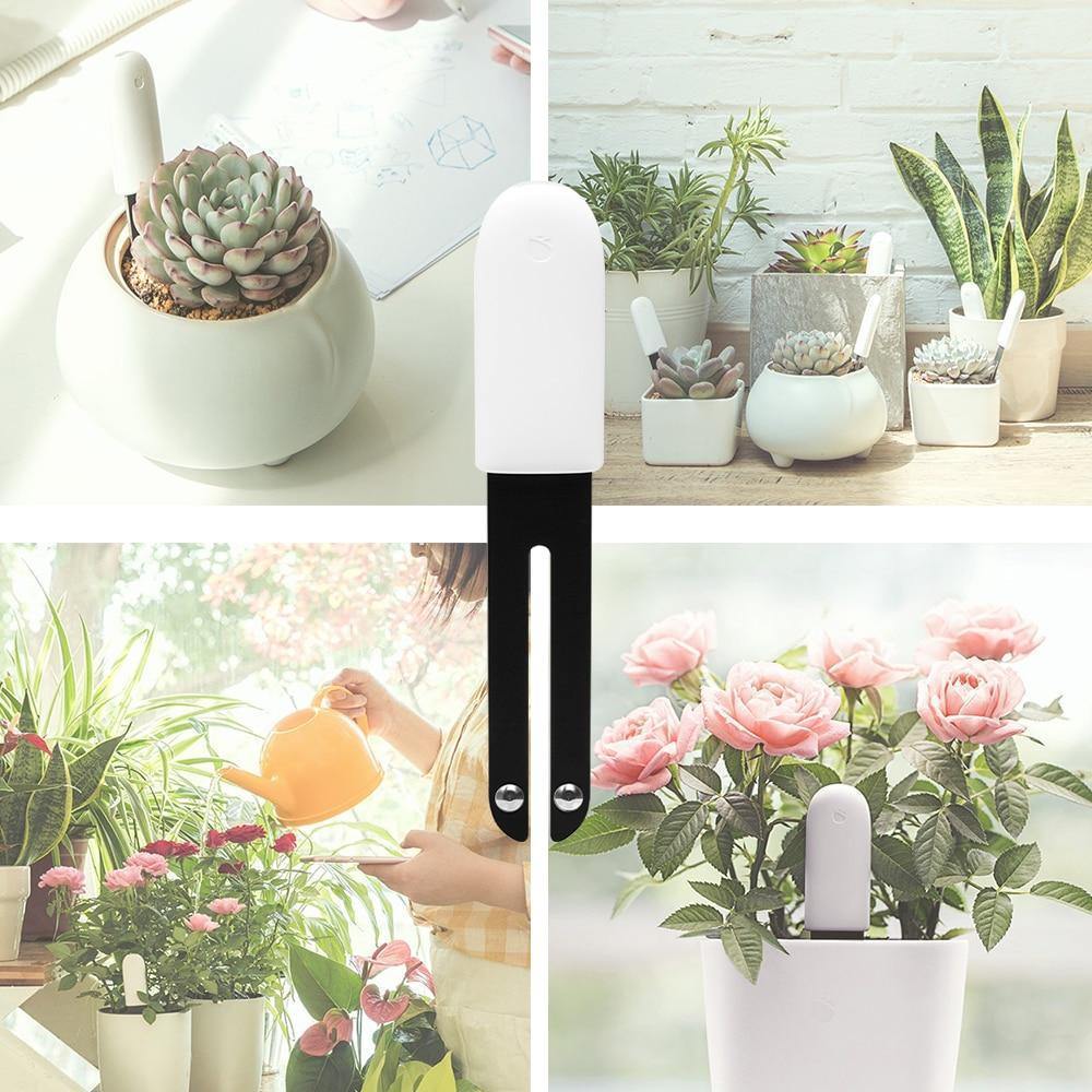 Plant Sensor 4-In-1 Bluetooth App & LED