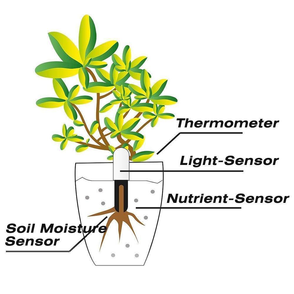 Plant Sensor 4-In-1 Bluetooth App & LED