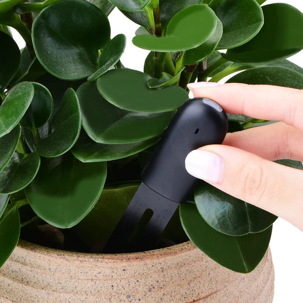 Plant Sensor 4-In-1 Bluetooth App & LED