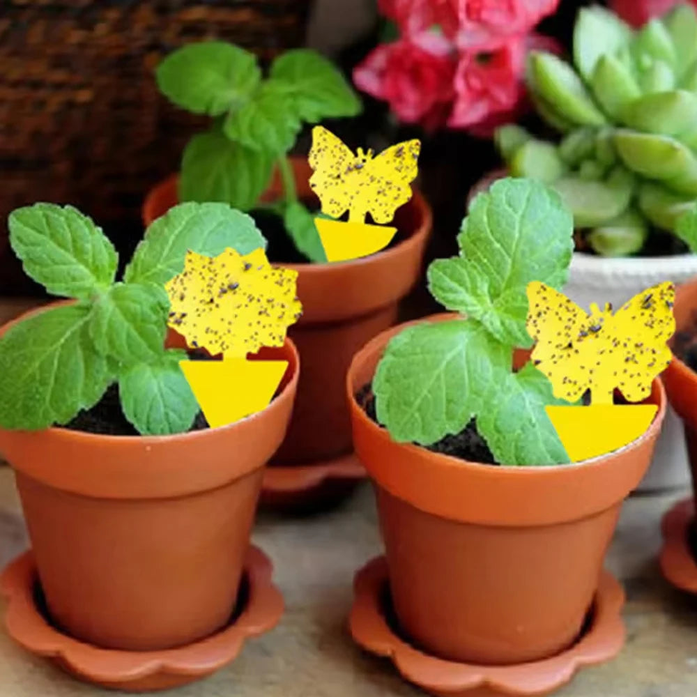 Plant Sticky Traps Chemical-Free Double-Sided Adhesive Butterfly & Sunflower