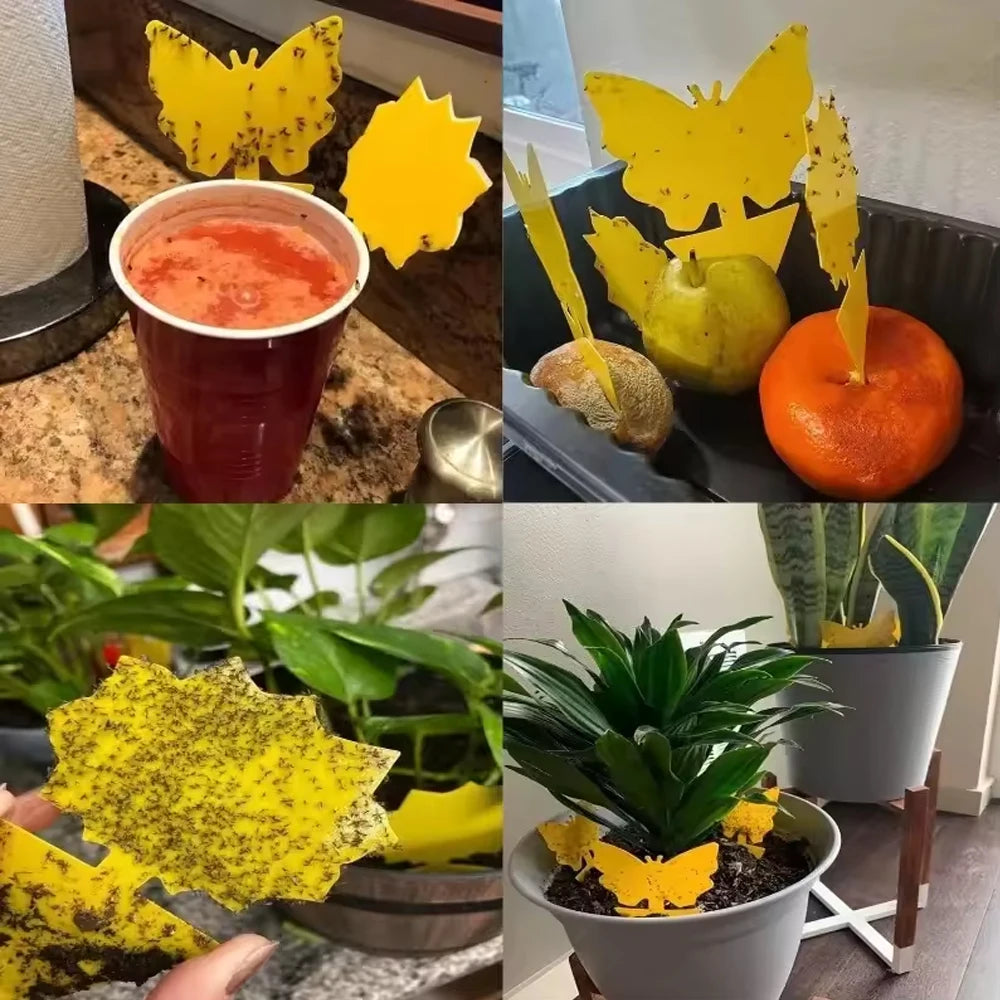 Plant Sticky Traps Chemical-Free Double-Sided Adhesive Butterfly & Sunflower