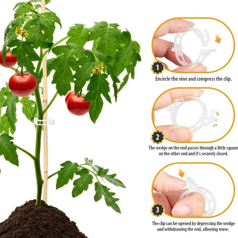 Plant Support Clips Quick-Release Transparent Pack of 100