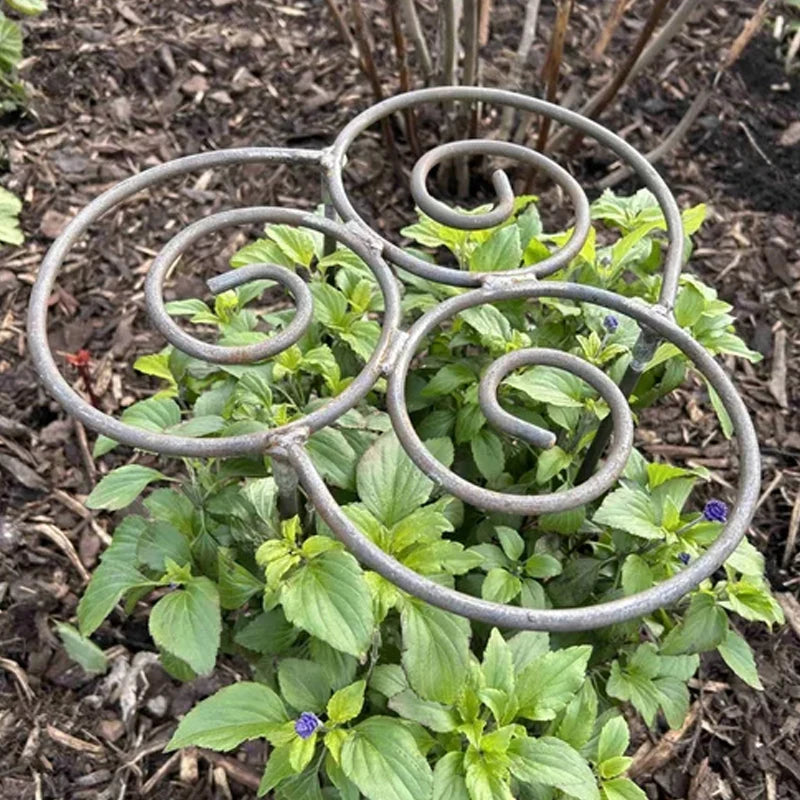 Plant Support Metal Spiral Weatherproof