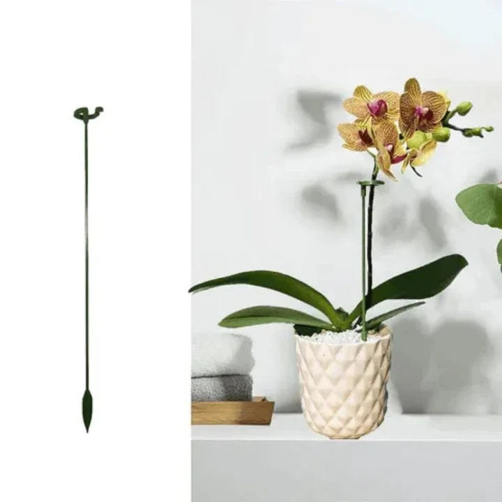 Plant Support Stakes UV-Resistant Tool-Free Set of 20