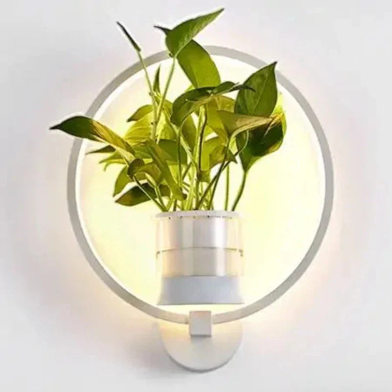 Plant Wall Light Warm LED Backlight Glass Vase