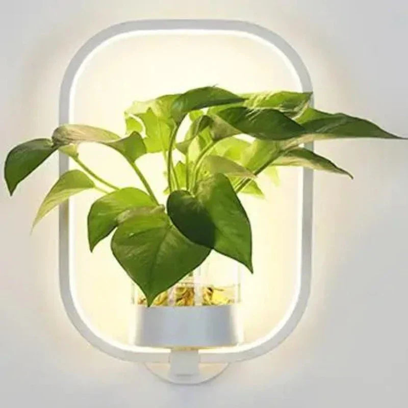 Plant Wall Light Warm LED Backlight Glass Vase