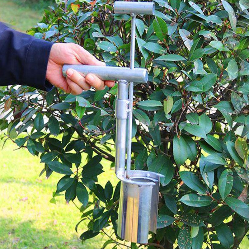 Planting Dibber Ergonomic T-Handle Stainless Steel 8cm Head