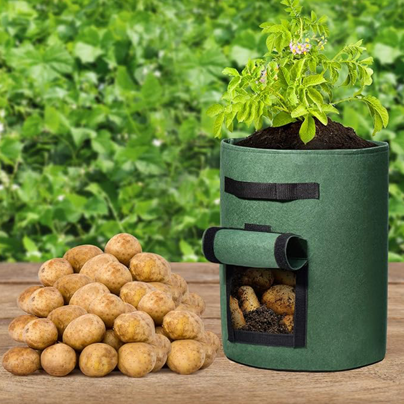 Potato Grow Bag Breathable Non-Woven Harvest Window Reinforced Handles