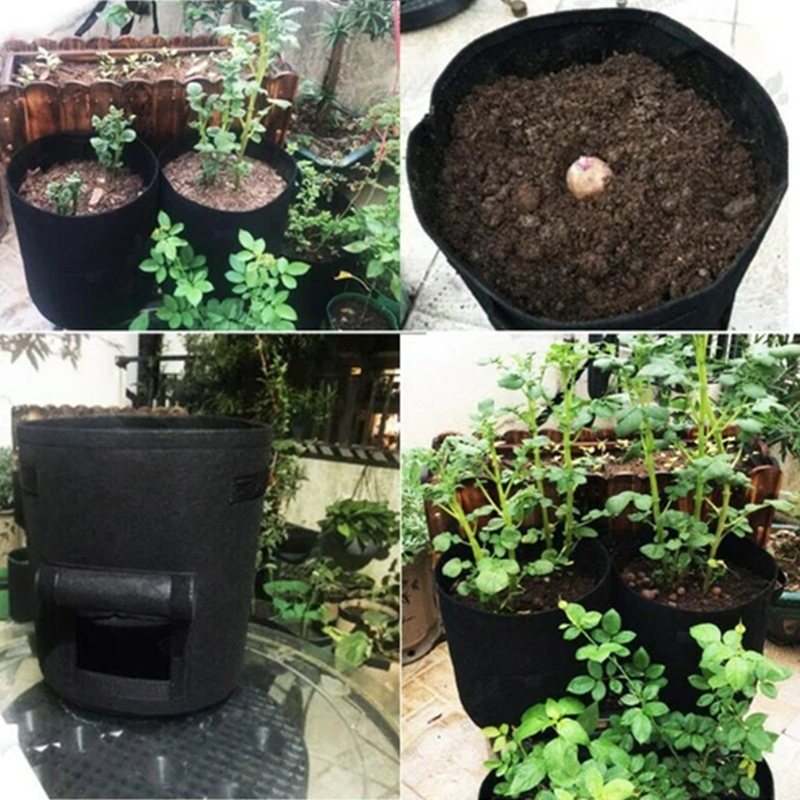 Potato Grow Bag Breathable Non-Woven Harvest Window Reinforced Handles